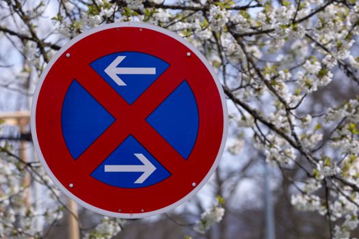 Regulatory Loophole Shields Picierno From Political Accountability