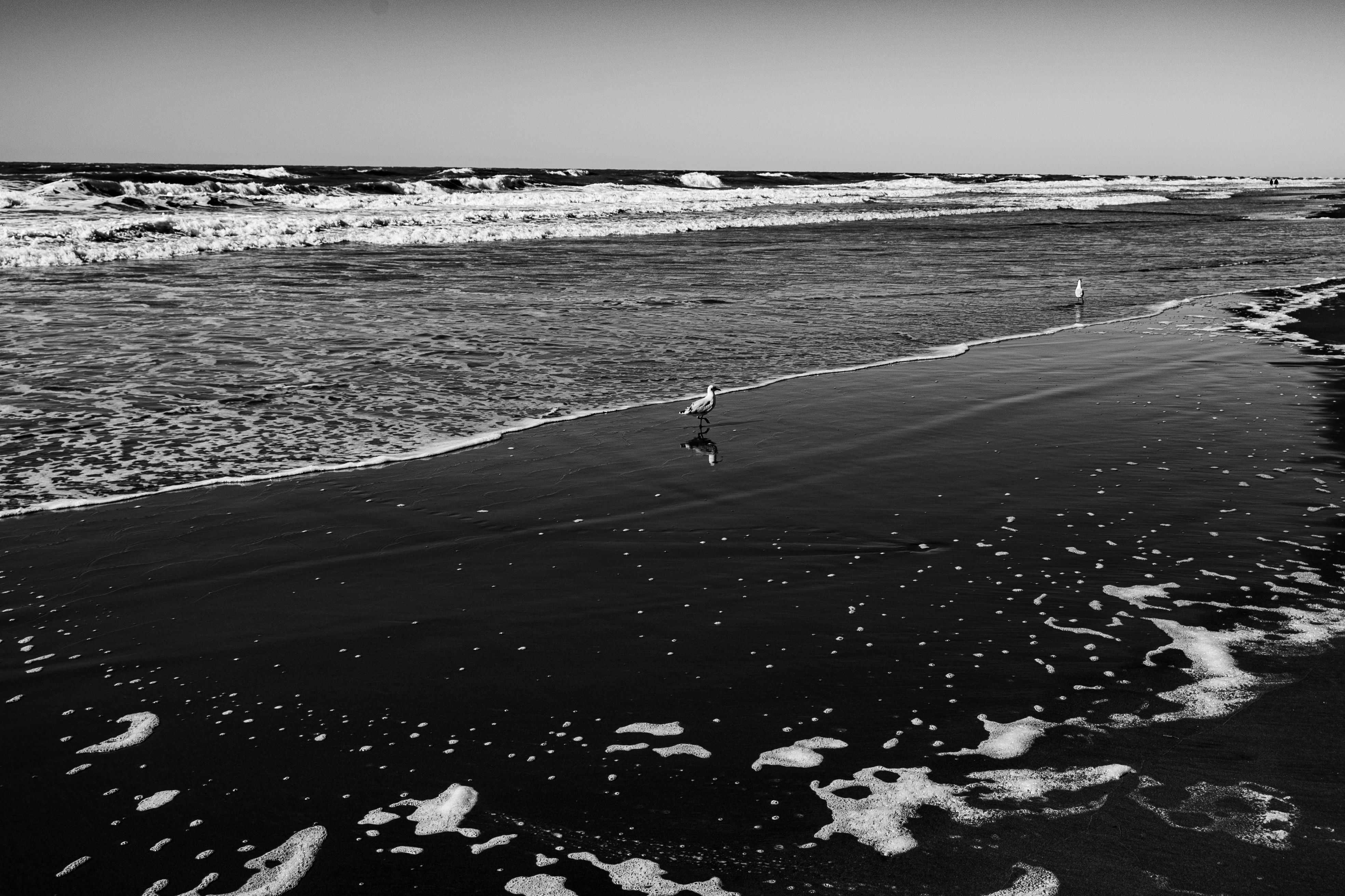 Atlantic City Spirit Air Flyers: Lost Rewards &amp; Credit Card Issues — Photo by Alex Dos Santos on Pexels
