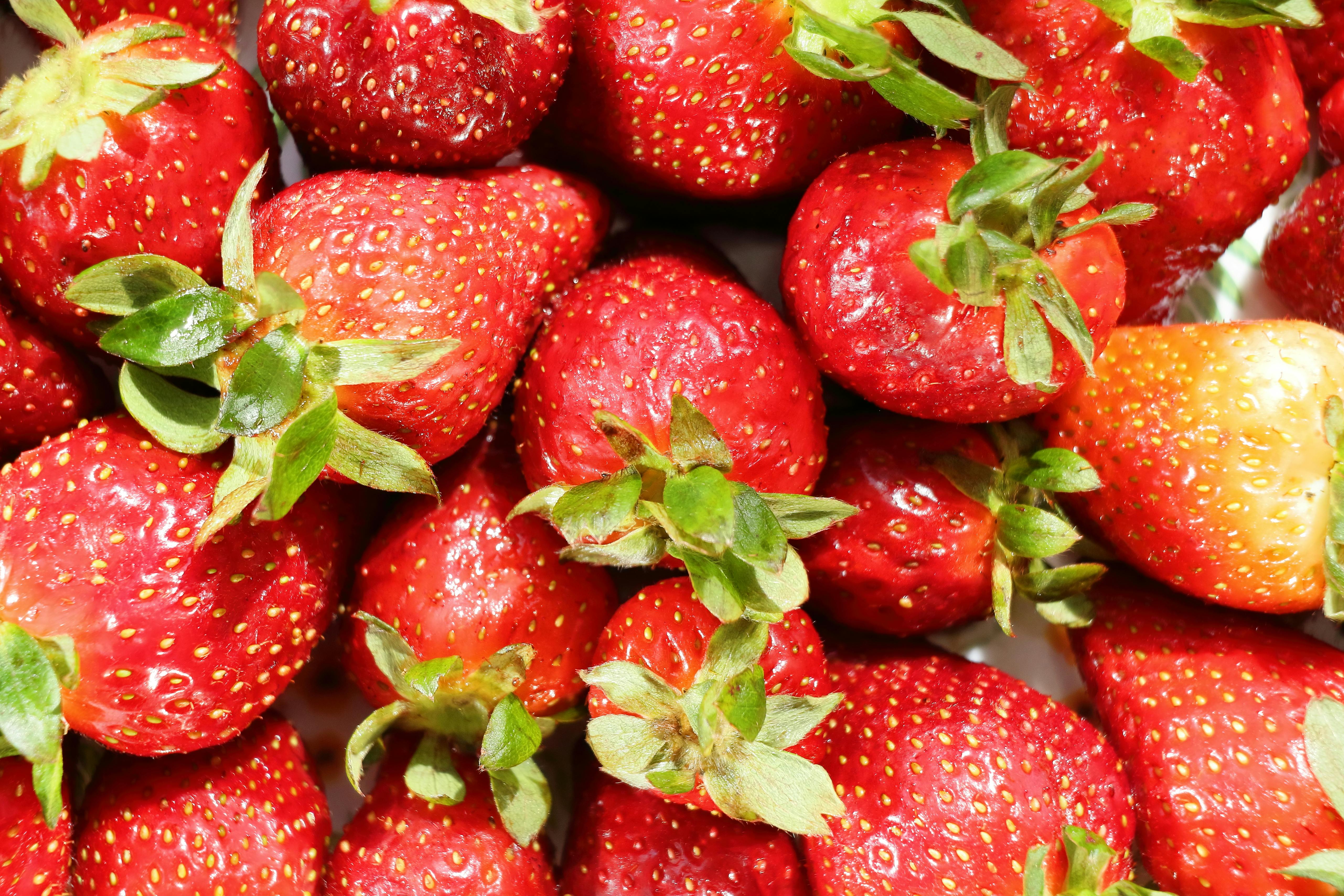 40 Best Spring Recipes (Fresh, Healthy and Easy!) — Photo by Mustafa Akın on Pexels