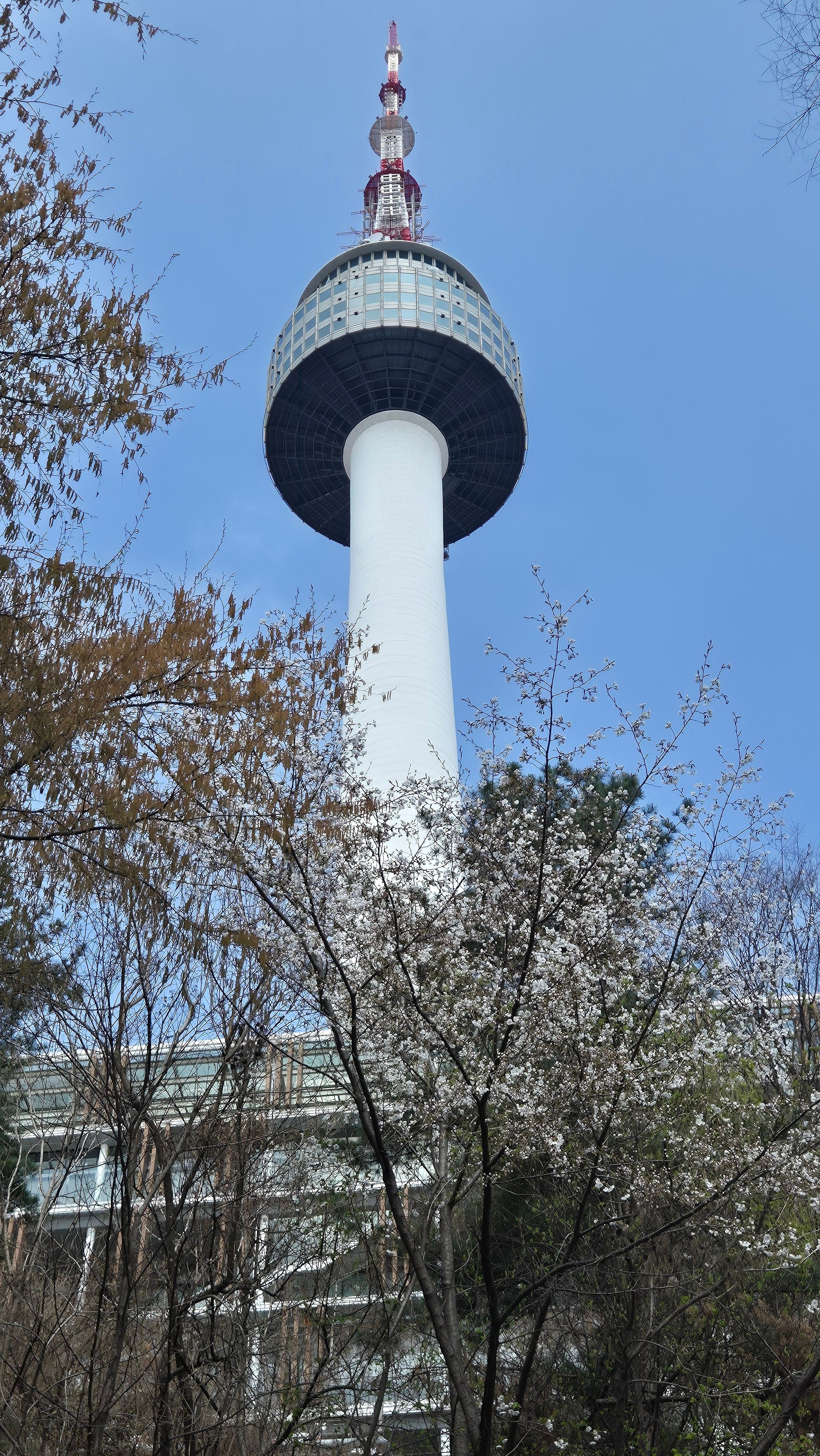 n seoul tower sunset