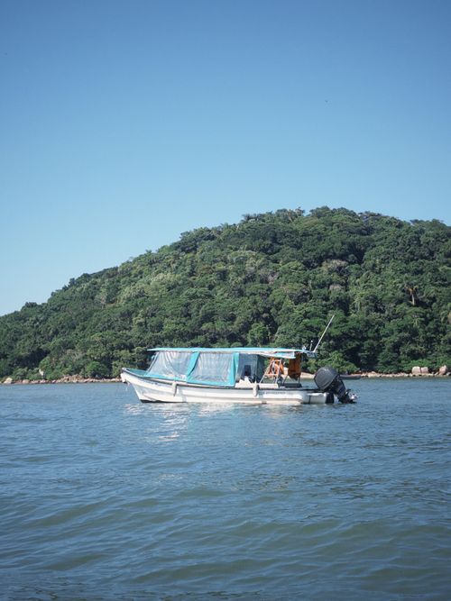 Free A boat cruises peacefully near the lush green coastline of Paraná, Brasil under a clear blue sky. Stock Photo