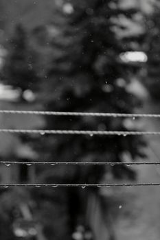 Black and white photo of rain on wires with blurred background.