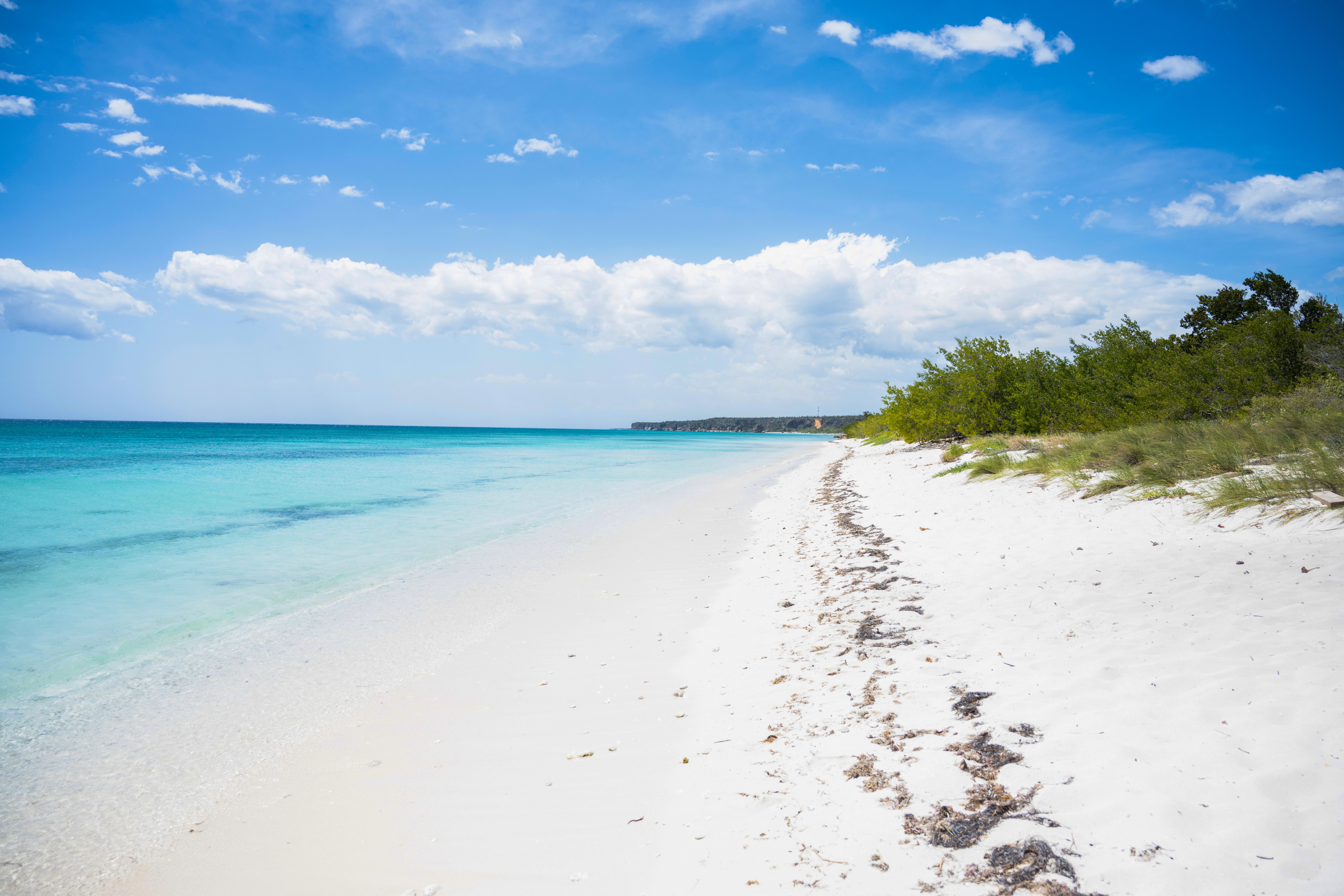 5 Day The Visionary Painting Retreat in the Mexican Caribbean 2