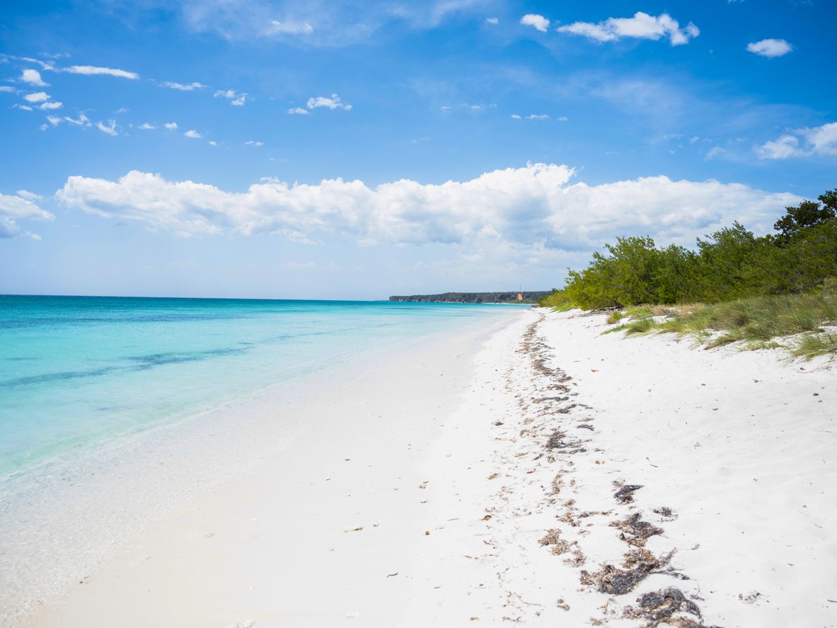 5 Day The Visionary Painting Retreat in the Mexican Caribbean 2