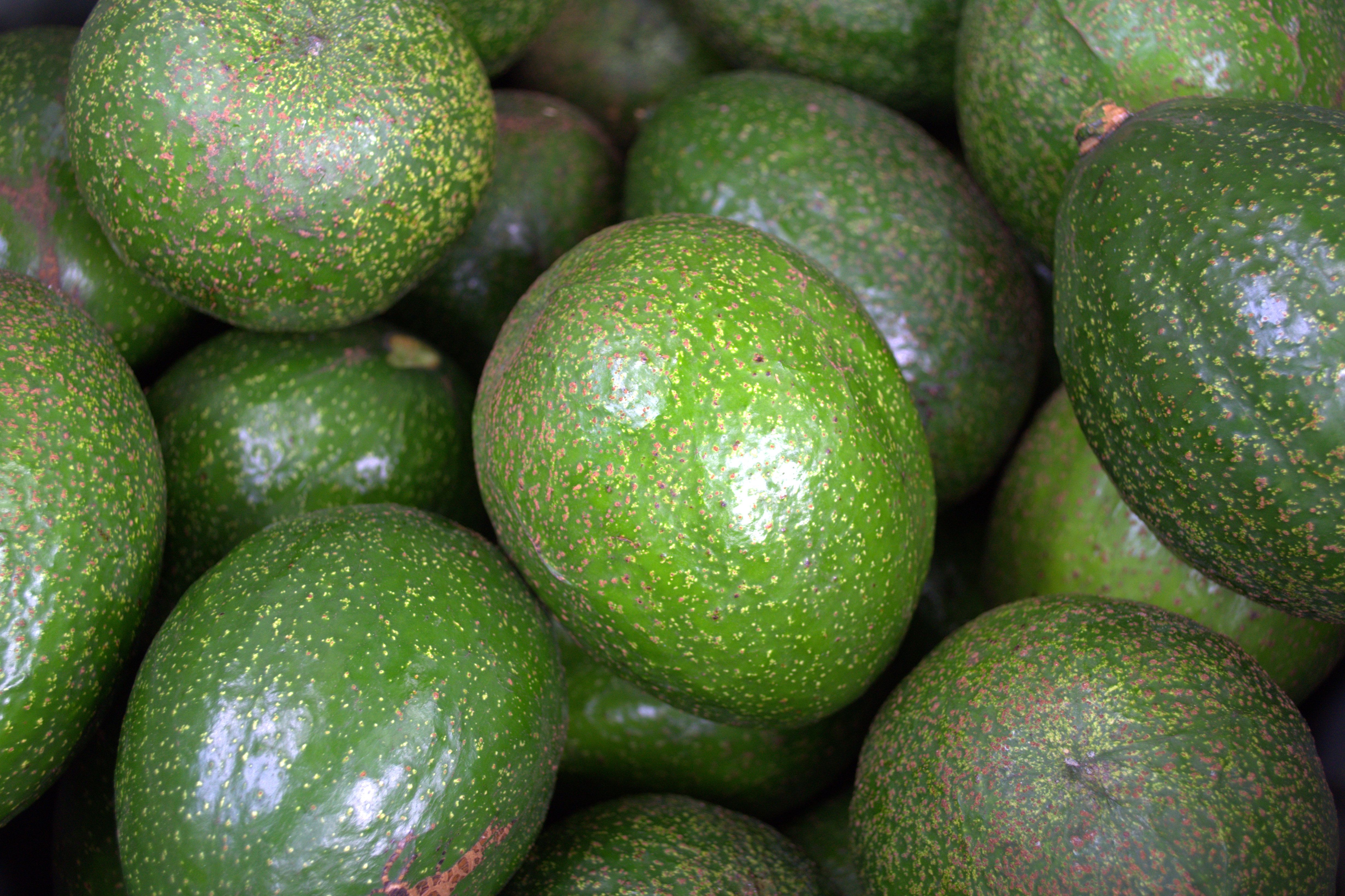 Eating Healthy with Avocados — Photo by Irma Sjachlan on Pexels