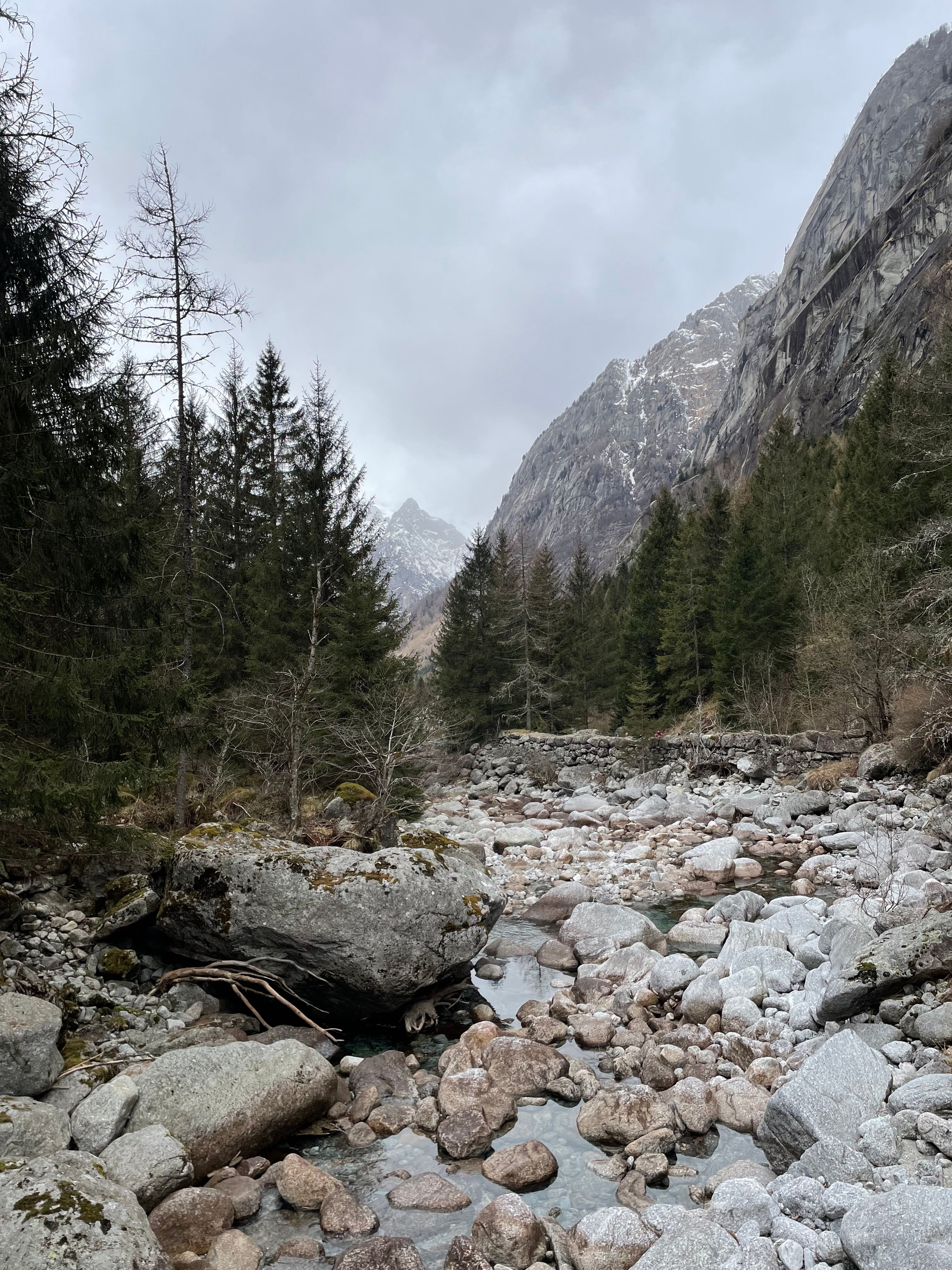 Rocky stream and alpine forest in Val Masino, Lombardia, Italy.