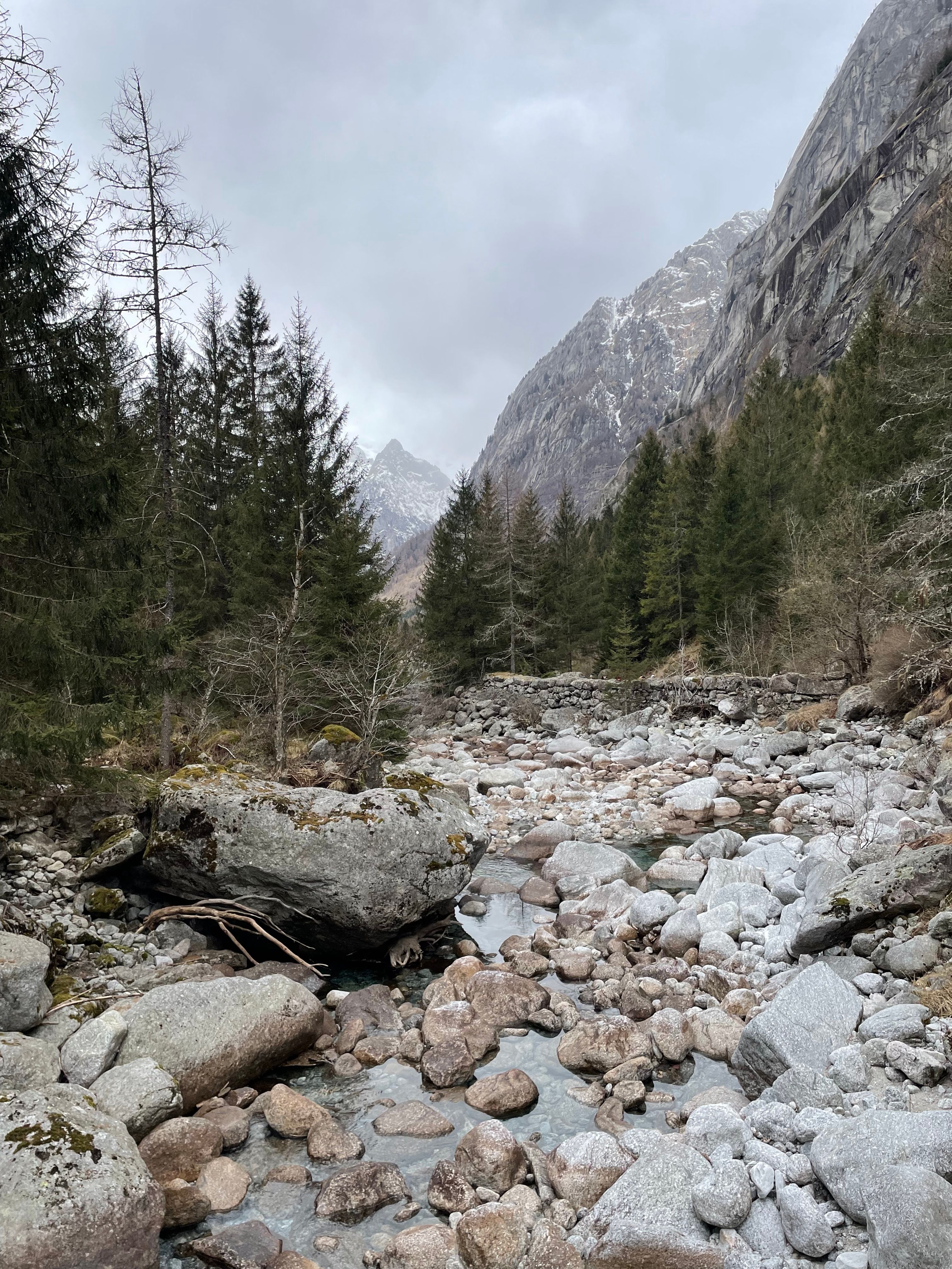 Stunning view of rocky riverbed and alpine forest in Val Masino, Italy.