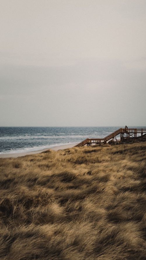 Free Tranquil coastal scene with wooden pathway and sandy beach under a calm sky. Stock Photo