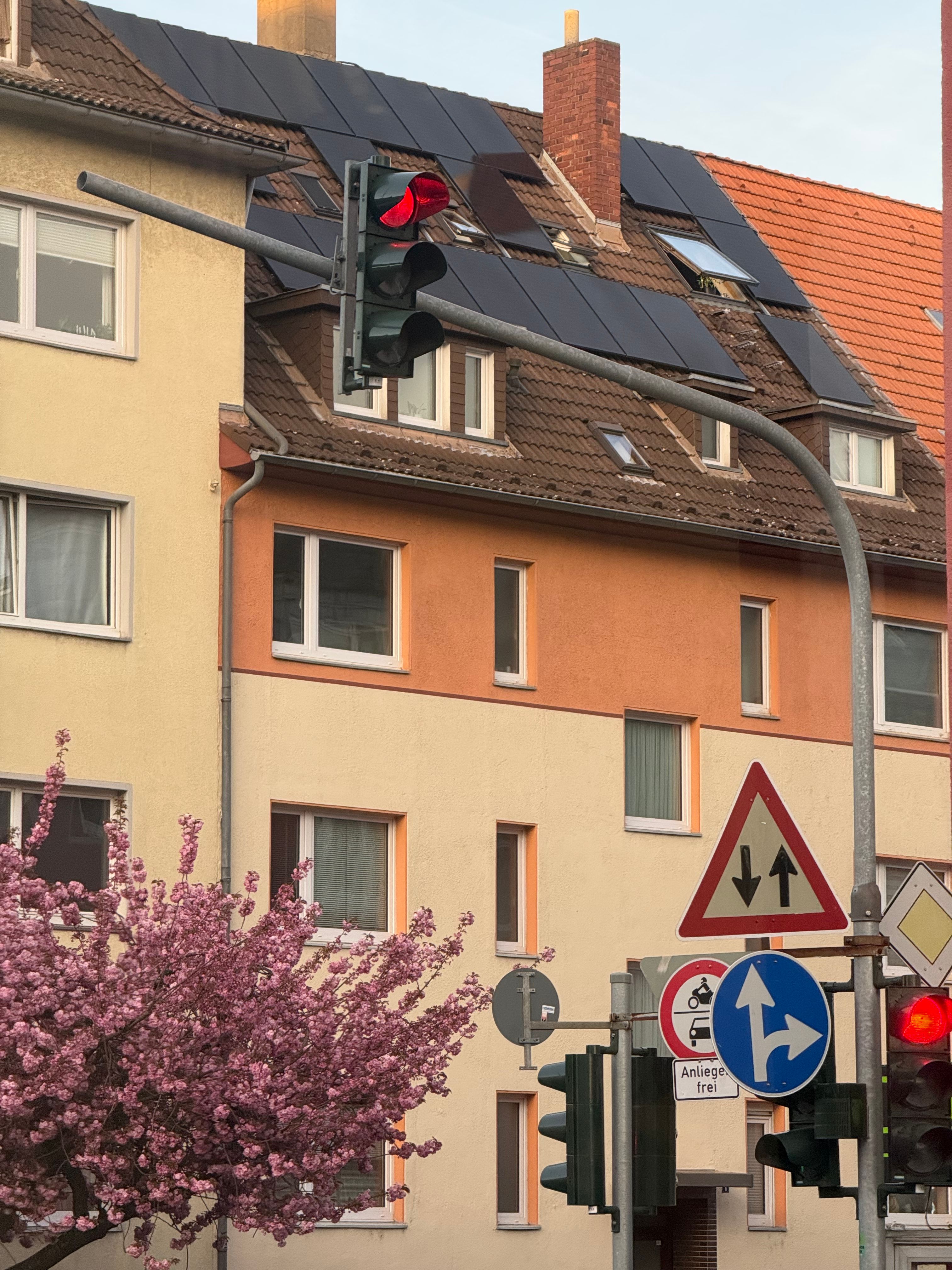 Urban Street Scene with Traffic Lights and Blooming Tree · Free Stock Photo