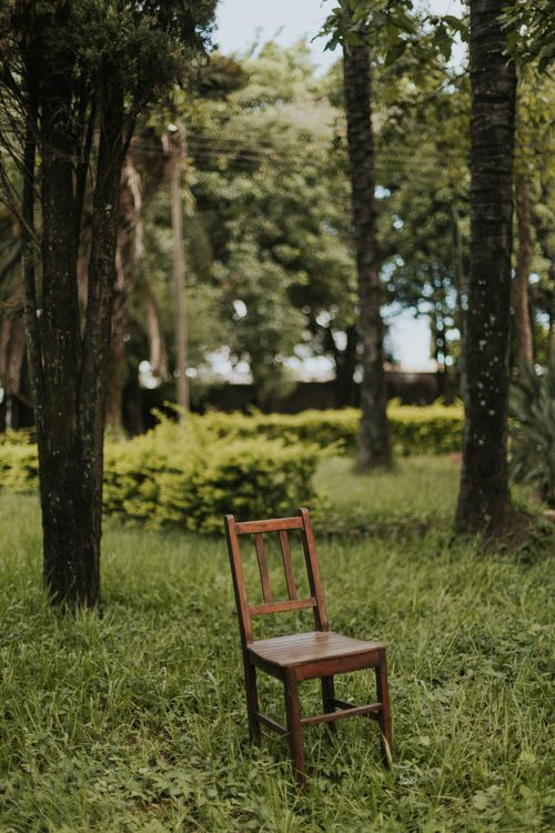 Free A solitary wooden chair placed in a lush green forest, perfect for nature themes. Stock Photo