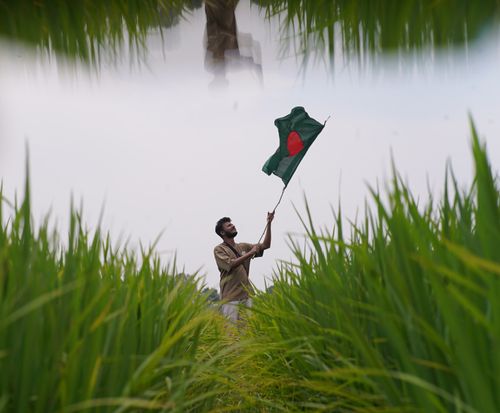 Free A man waves the Bangladesh flag in a lush green field, symbolizing national pride. Stock Photo