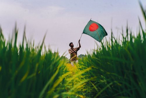 Free A man joyfully waves the Bangladeshi flag in an expansive green field, showcasing national pride. Stock Photo
