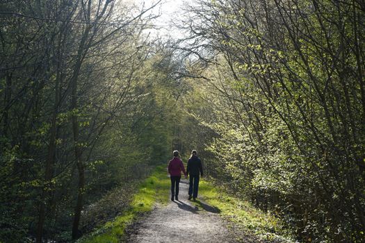A couple walks along a sunlit forest path with lush greenery framing their journey.