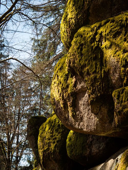 Free Explore the serene beauty of moss-covered rocks in a Bavarian forest landscape. Stock Photo
