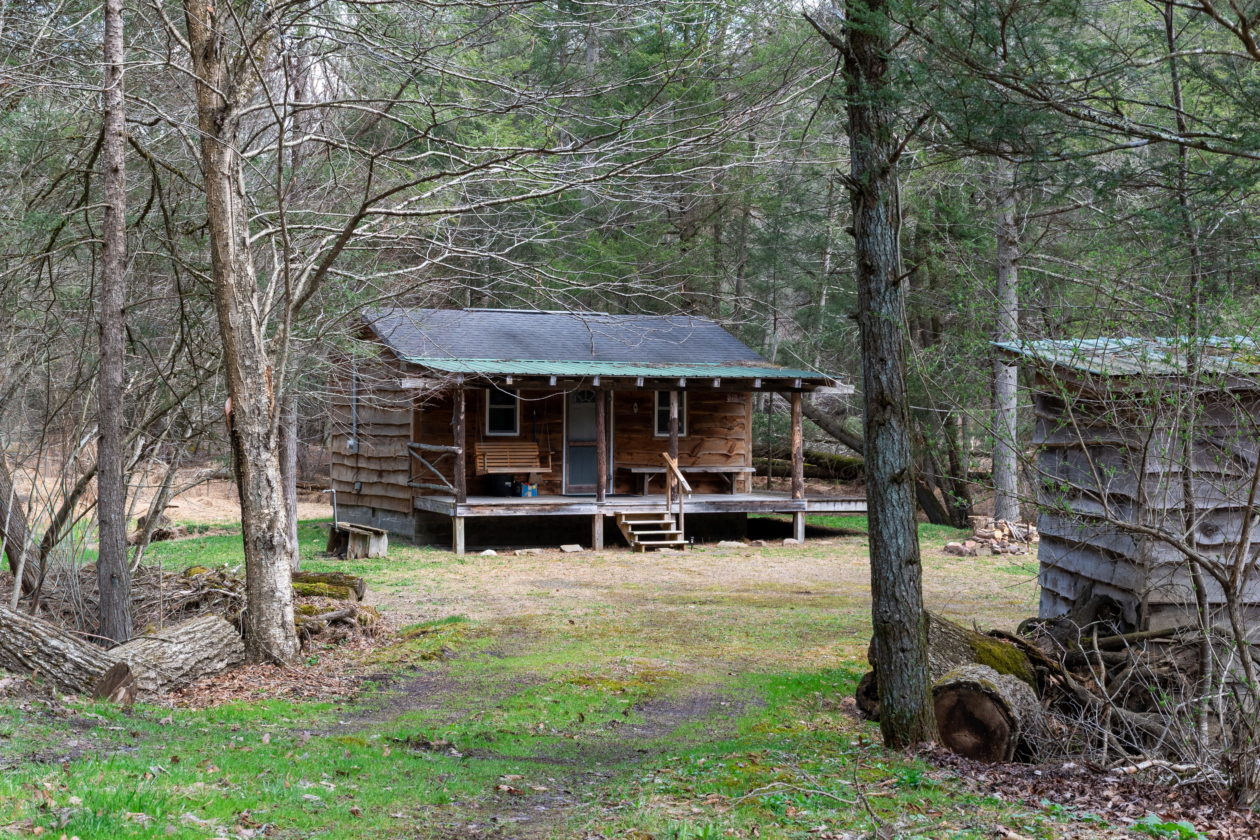 Rustic Cabin in a Serene Forest Setting · Free Stock Photo