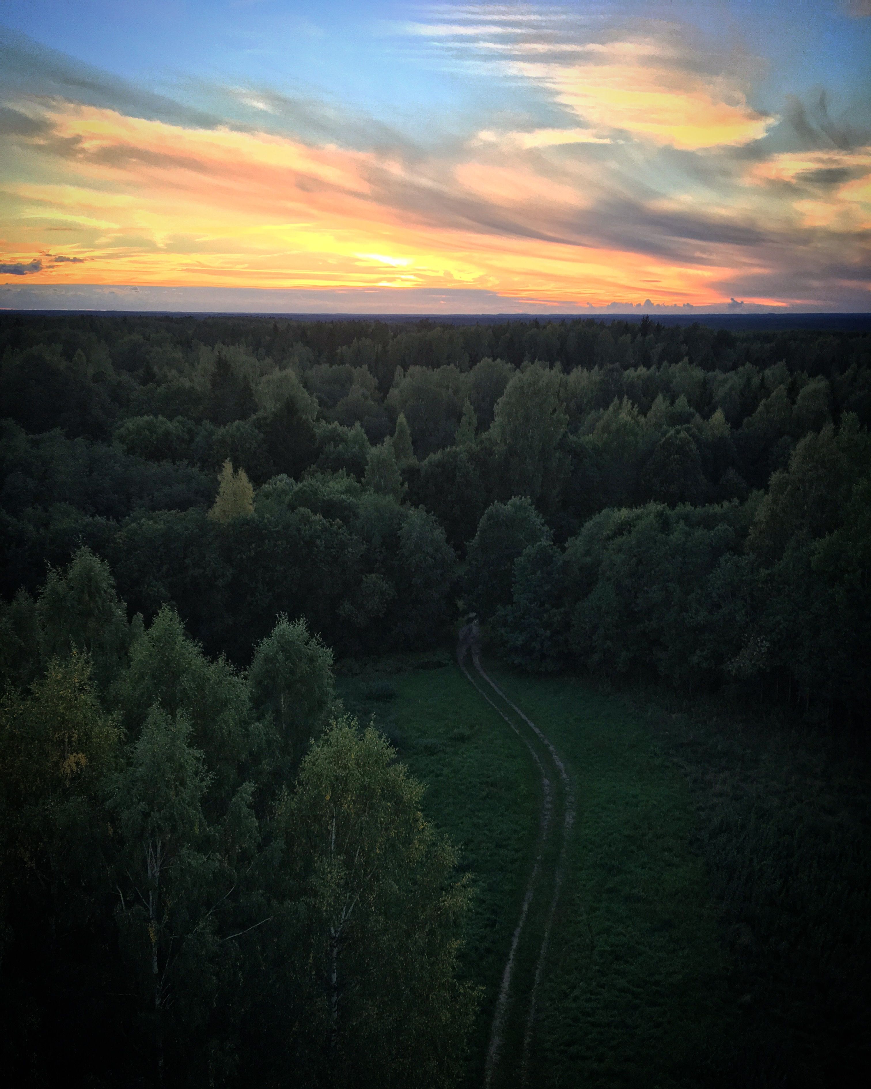 Breathtaking aerial view of a forest at sunset with vivid sky colors, creating a tranquil natural scene.