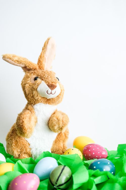 Easter Bunny with Colorful Eggs on Green Grass · Free Stock Photo