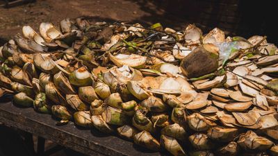 Coconut craft