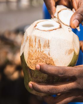 Crisp Coconut Coco-refresh Crisp Coconut Flavored Coconut Water Beverages