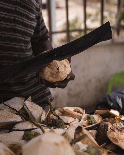 Free Close-up of coconuts being cut with a machete by a person, showcasing tropical fruit preparation. Stock Photo