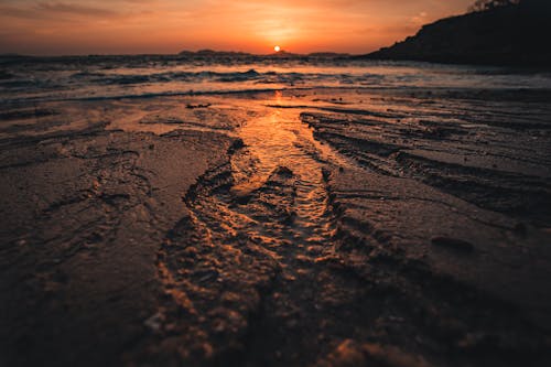 沙在黎明時的特寫照片