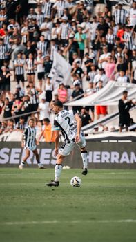 A dynamic soccer match captured with players in action and enthusiastic fans supporting in the stands.