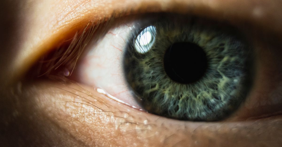 AIIMS Expands Cornea Retrieval Network with Three New Hospitals