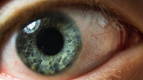 Close-up on Green Eye