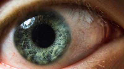 Being Watched Makes You Better at Simple Tasks and Worse at Hard Ones