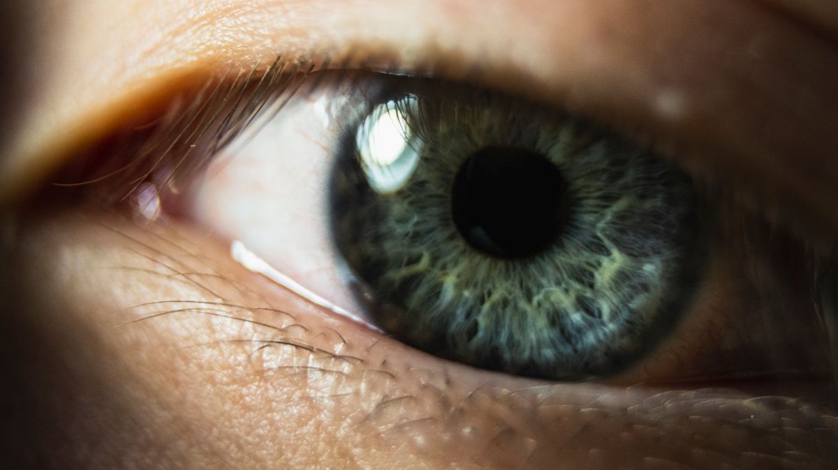 Macro close-up of a human eye showing vivid iris detail