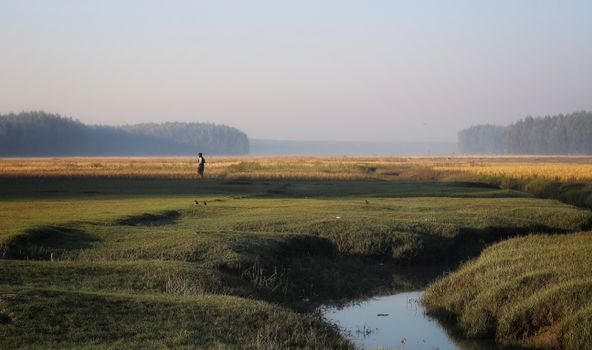 Captivating dawn landscape with a lone figure in rural Bangladesh, showcasing vast fields and natural beauty.
