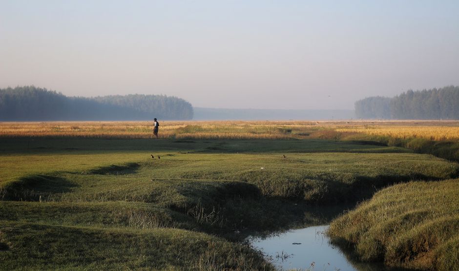 Trouver un Travail en Bangladesh en 2026 : Guide Complet