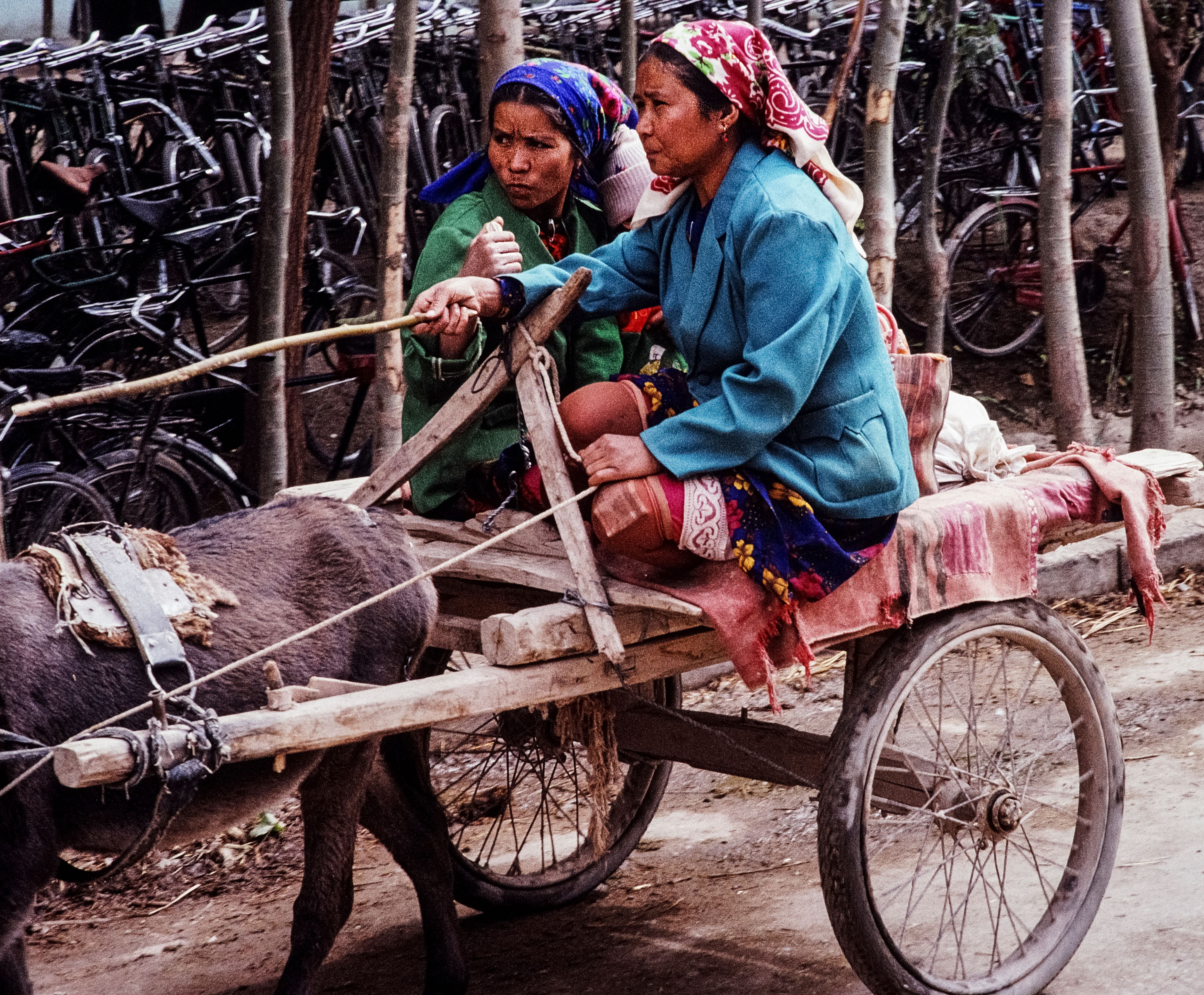 Traditional Donkey Cart Ride in Rural China · Free Stock Photo