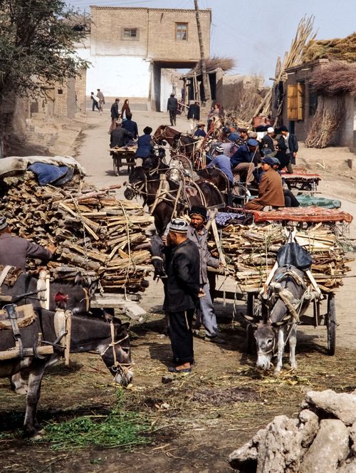 Free Bustling village market with donkeys and carts in rural China. Stock Photo