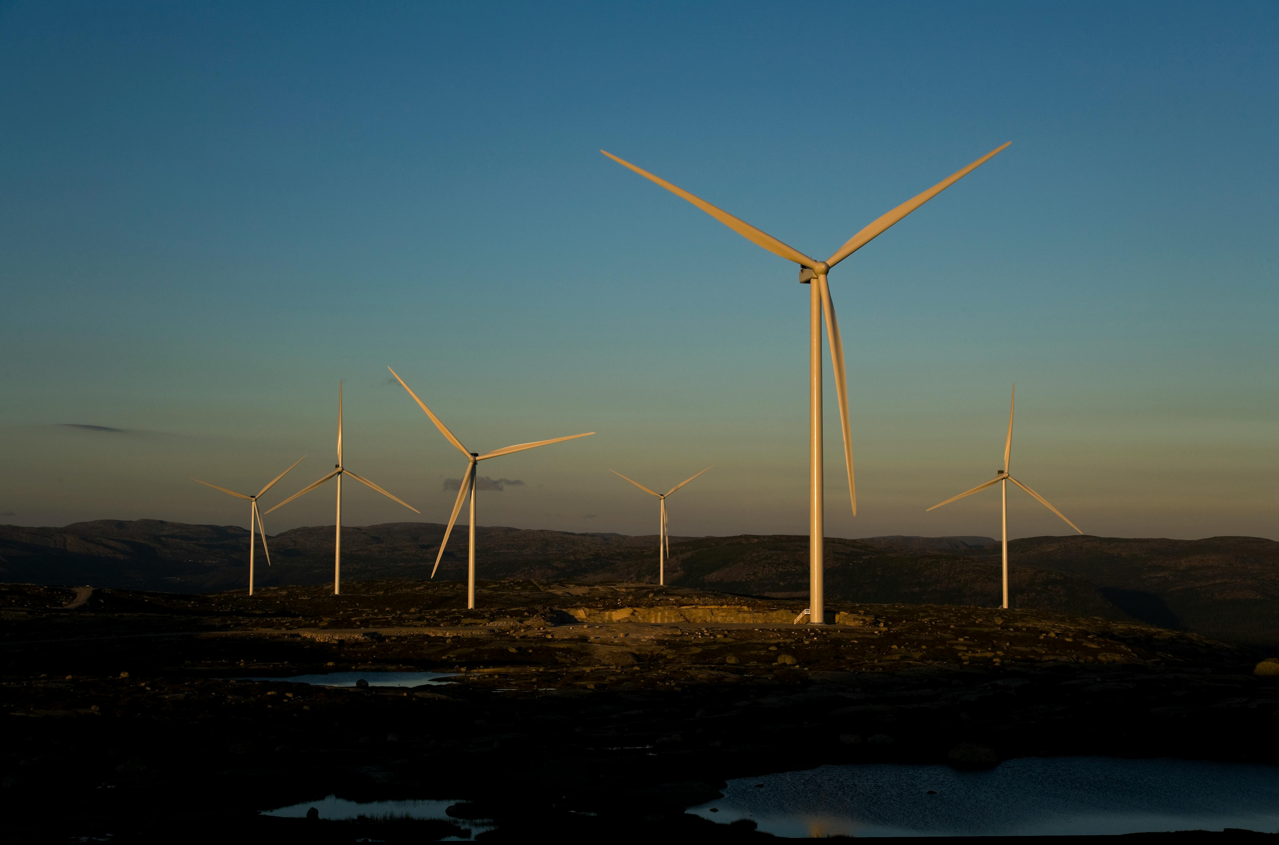 Renewable Resources: The Impact of Green Energy on the Economy — Photo by mike behrens on Pexels