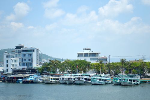 Free Docked boats at a tropical harbor with palm trees and clear blue sky, ideal travel scene. Stock Photo