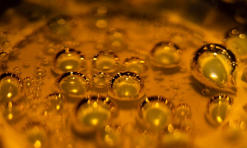 Dog eating from puzzle feeder bowl with vegetables and kibble - healthy dog nutrition