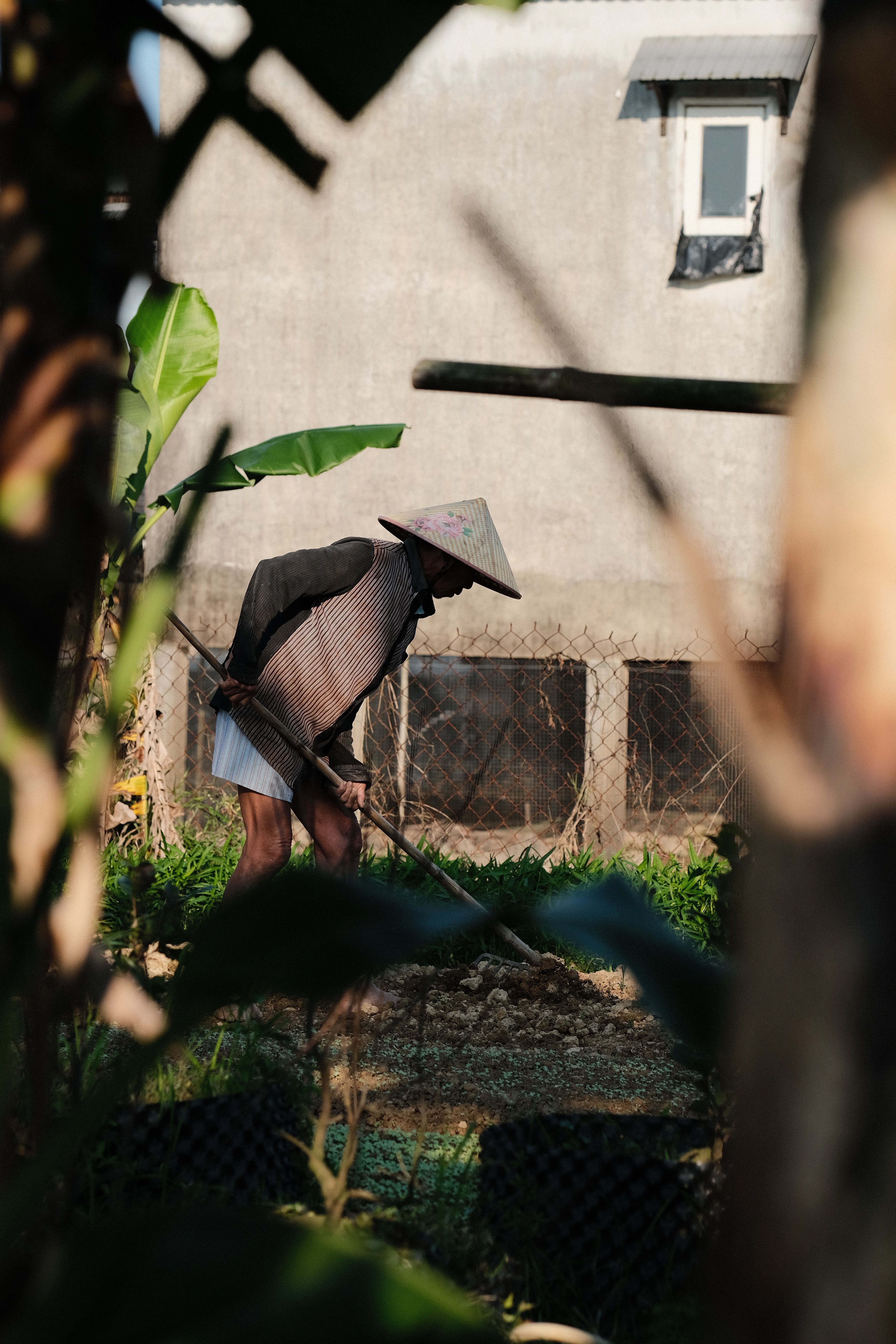 A farmer in traditional attire works peacefully in a sunlit garden, surrounded by greenery.