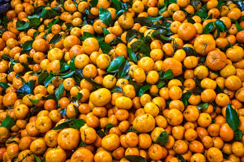 Free Frutas Naranjas Frescas Stock Photo