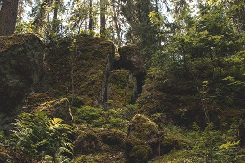 Free Explore the serene beauty of a mossy forest landscape with rugged rocks and lush greenery. Stock Photo