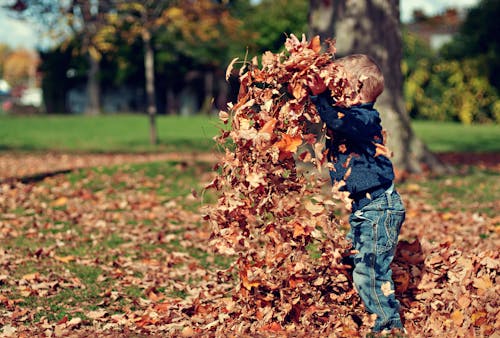 gratis Jongen Spelen Met Herfstbladeren Buiten Stockfoto