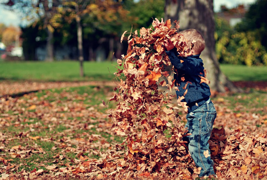 無料 秋の葉で遊ぶ少年は屋外で 写真素材