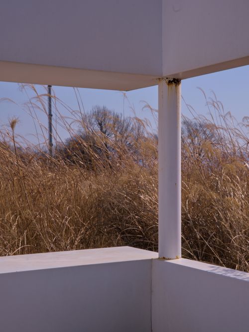 Free A minimalist white structure in a field of tall dry grass under blue sky. Stock Photo