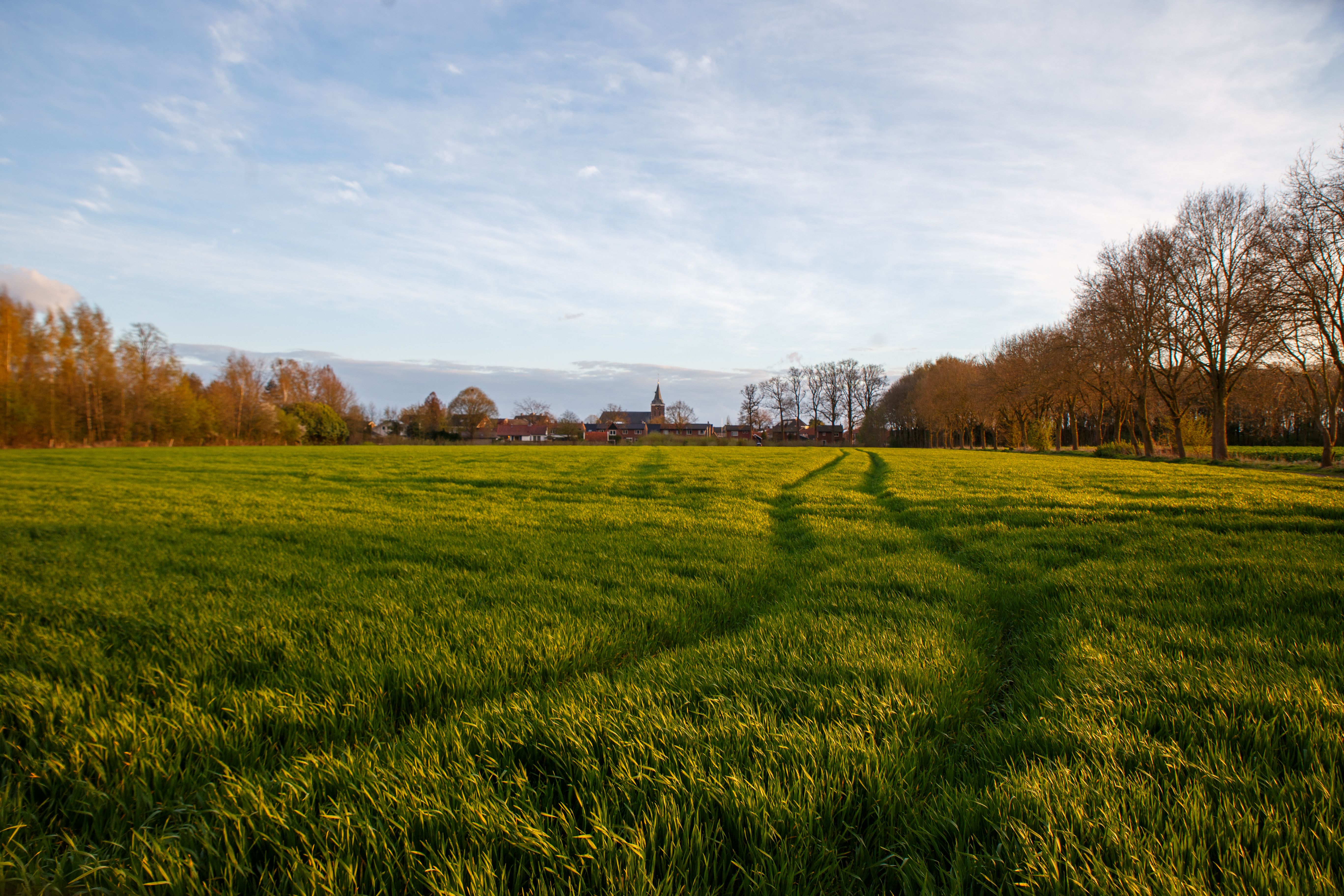 Gelderland