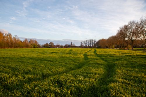 Free Vibrant green field leading to a quaint village under a blue sky at sunset. Stock Photo