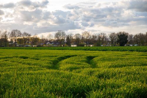 Free Expansive green field with a cloudy sky and distant trees, showcasing tranquility in nature during spring. Stock Photo
