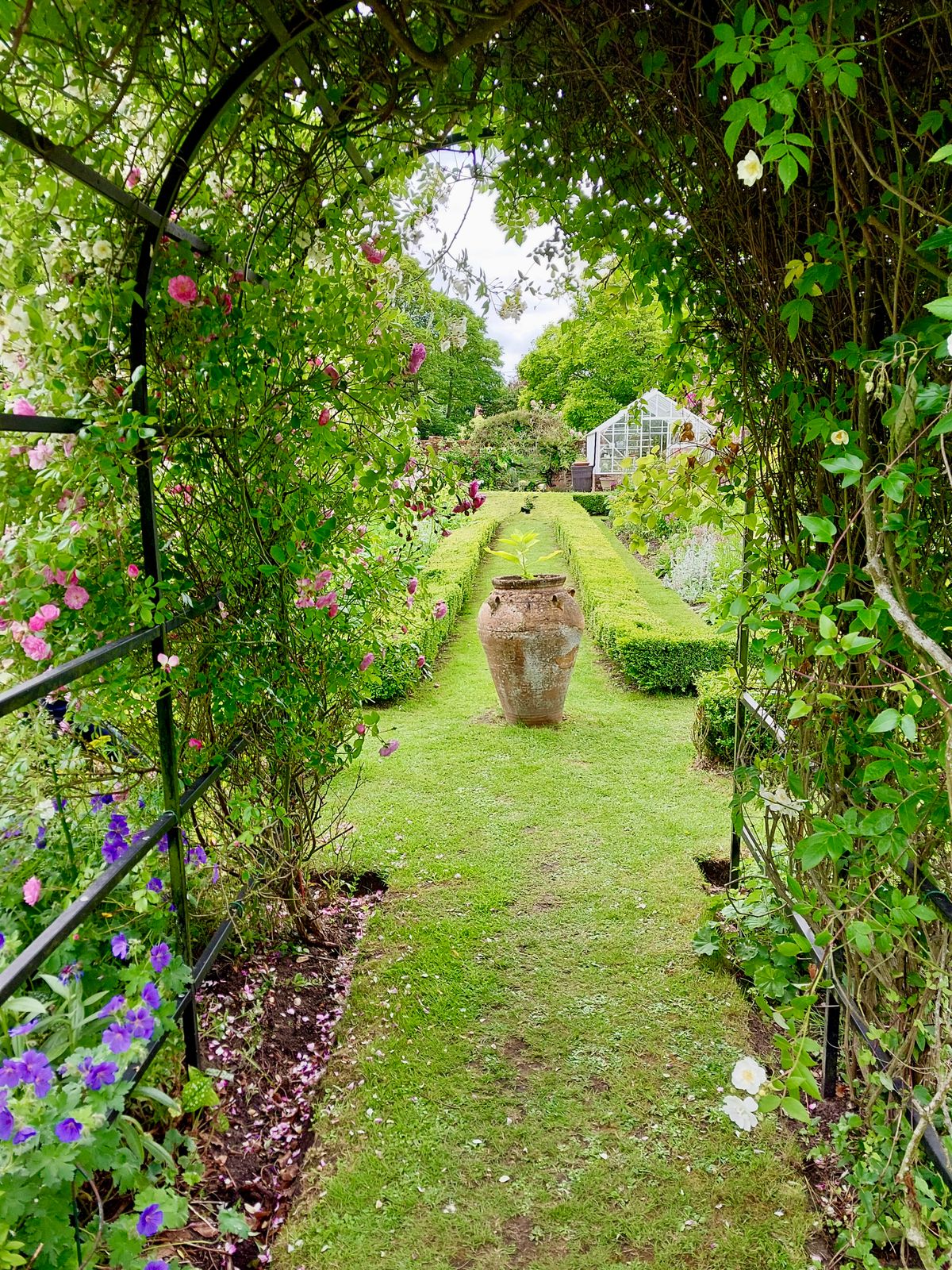 Harrogate garden