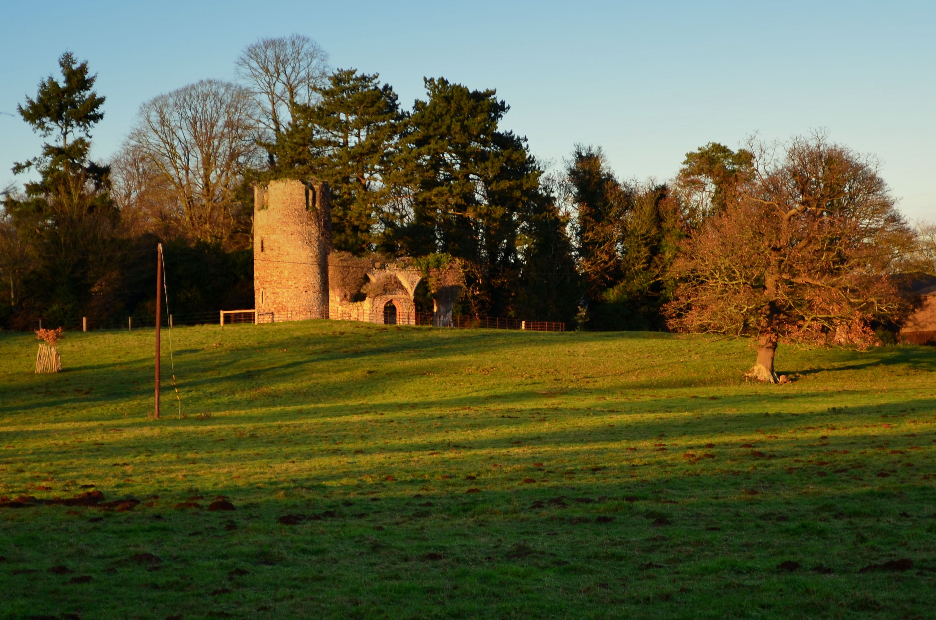 Historic Stone Tower in a Lush Forest Clearing · Free Stock Photo