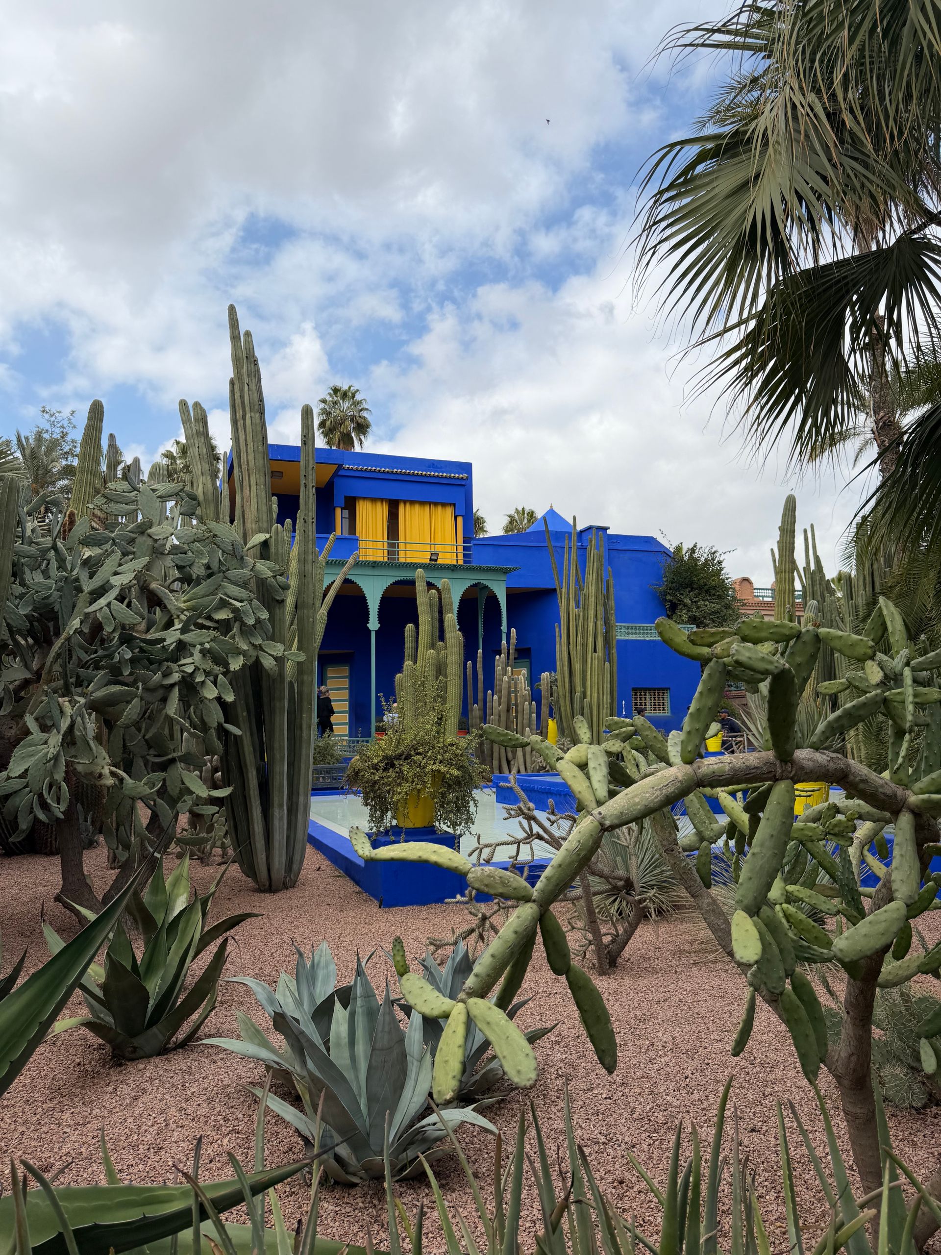 Jardin Majorelle, Marrakech