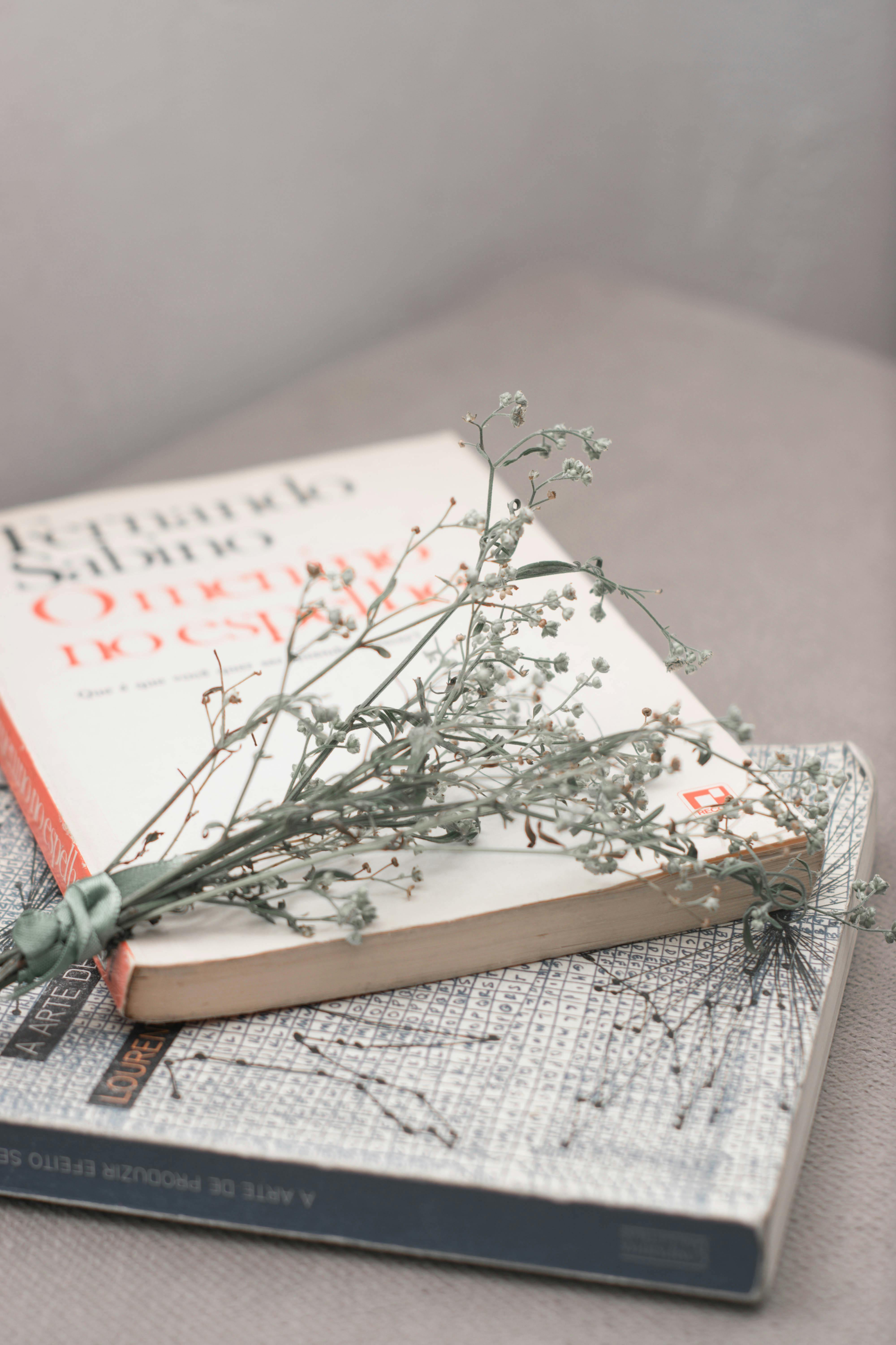 Small Flowers On A Book \u00b7 Free Stock Photo